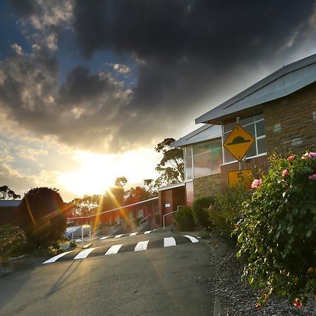 City View Motel Montagu Bay Экстерьер фото